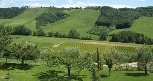 vitigni umbria